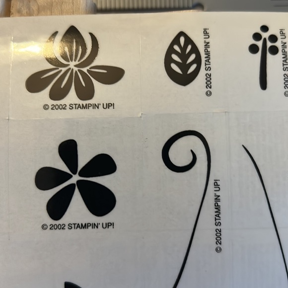 Tropical Blossoms stamp set - Picture 3 of 9